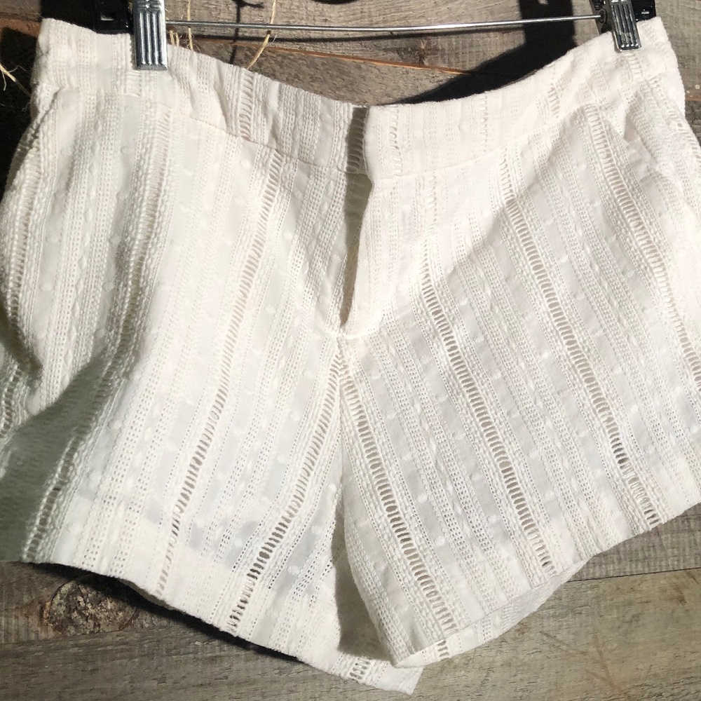 Joie Women's Eyelet Textured Casual Shorts